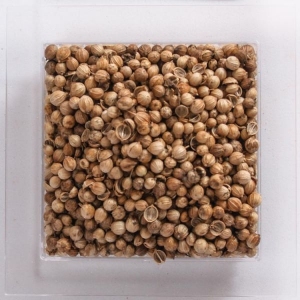 Kulinář 10040 Koriandr celý český 50g