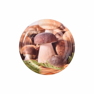 Víčko zavařovací Twist 66 Houby 10 ks