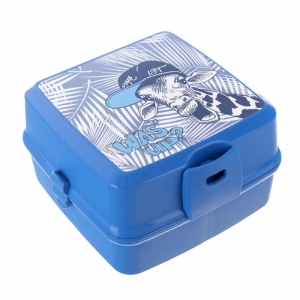 Box UH svačina HOBBY dělený GIRL