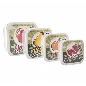 Box UH svačina Child čtverec 4 ks ovoce