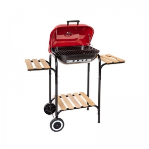 HAPPY GREEN Gril Party