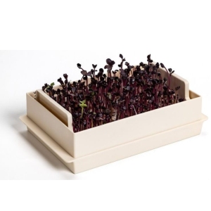 Nakličovací miska MICROGREENS béžová