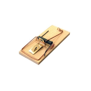 Pastička na myši dřevo