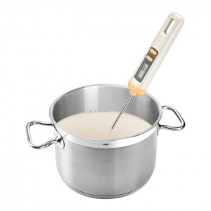 Tescoma Teploměr digitální se stěrkou DELÍCIA (630128)