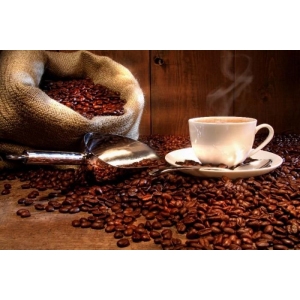 Orion 152560 Kávopres se sítkem 0,8 l